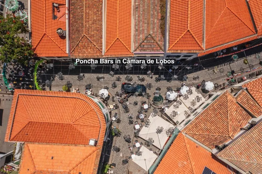 Ourmadeira - Bayside Apartment Câmara de Lobos البرتغال